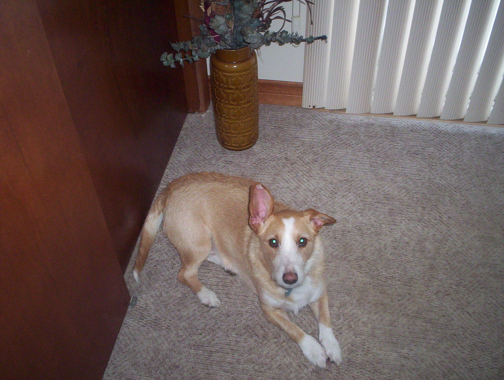 100_0313.jpg